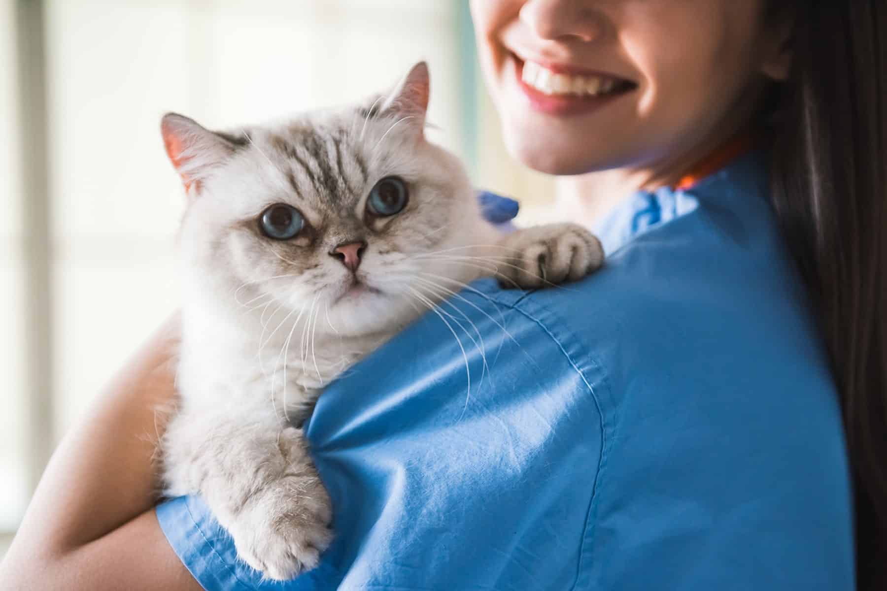 Preventive pet care in Scottsdale, AZ